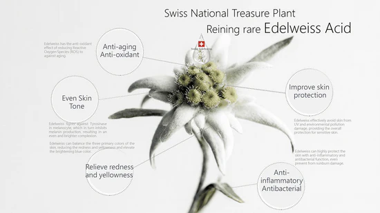 Bikenda™ Blemish Removing Beauty Cream 38 Bikenda™ Blemish Removing Beauty Cream