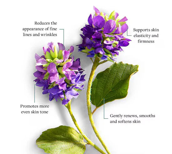 Bikenda™ Blemish Removing Beauty Cream 41 Bikenda™ Blemish Removing Beauty Cream